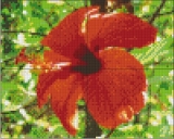 px-pr-bs0401_hibiscus_4_platen