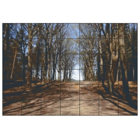 px-pr-bs0421a_herfst_42_platen